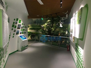 山东泗水湿地景区多媒体展厅