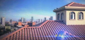 虚拟漫游