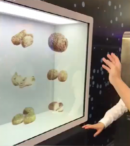 全息手势互动