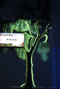 成果树投影