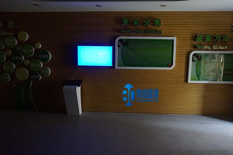 数字展馆 数字展馆