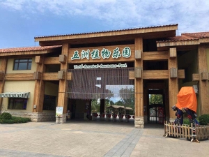 南宫五洲植物乐园投影互动捞鱼游戏