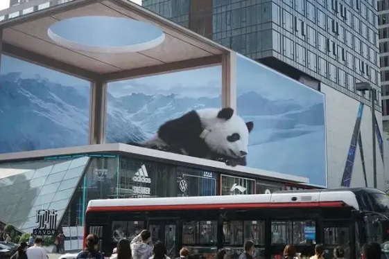 裸眼3D 裸眼3D